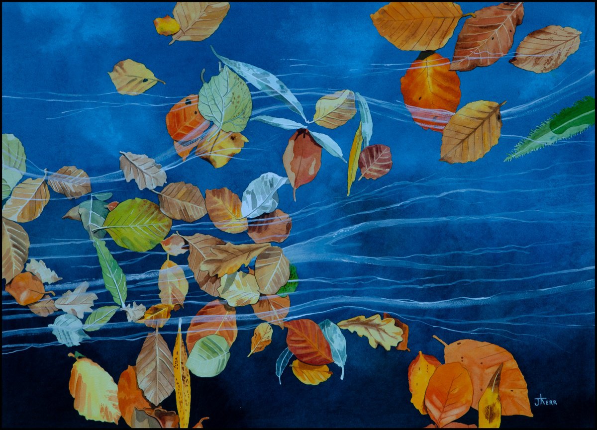 Leaves on Water by John Kerr