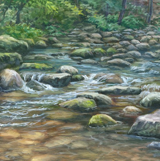 Blue Ridge Brook