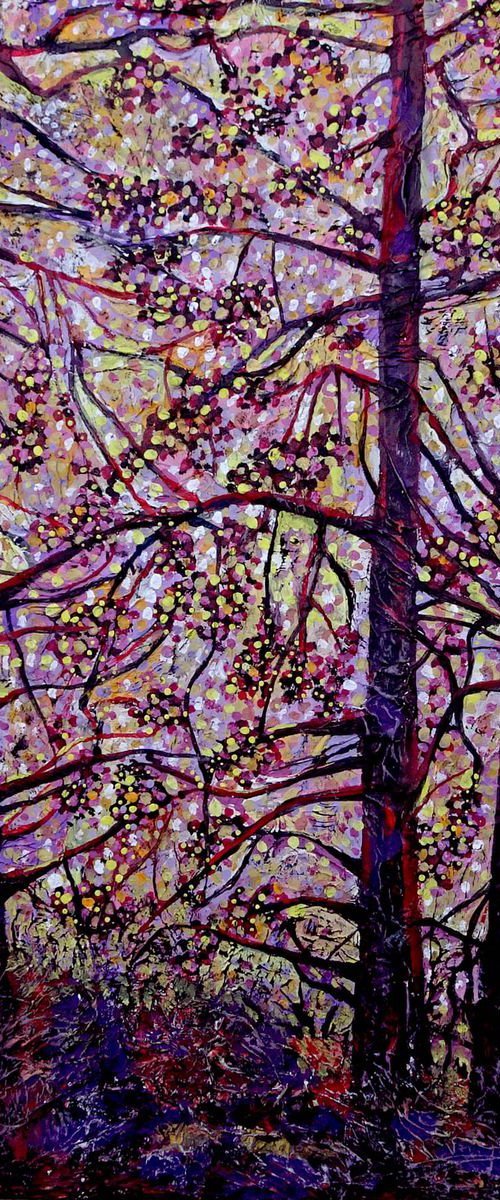Sunset 5 by Roz Edwards