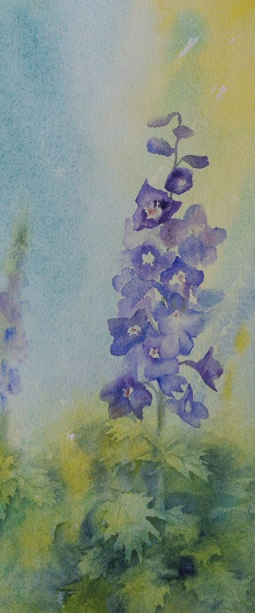 Blue Delphiniums - Original Watercolour by JANE  DENTON