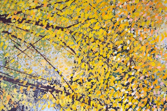 Sunlight Through Autumn Trees