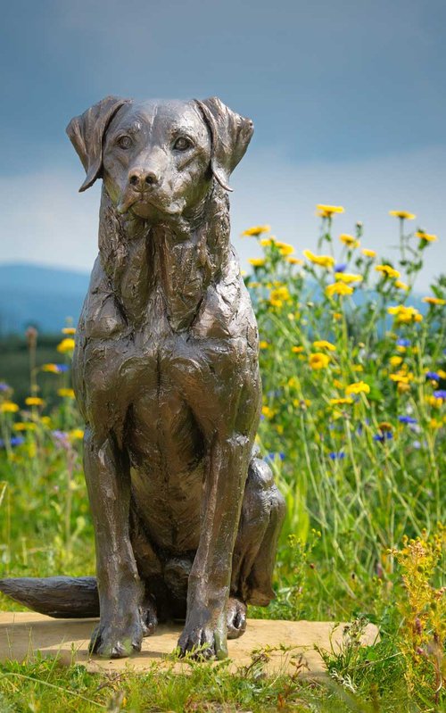 Sitting Sporting Labrador BR by Tanya Russell