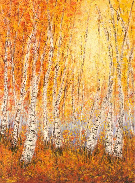 Autumn birch trees forest