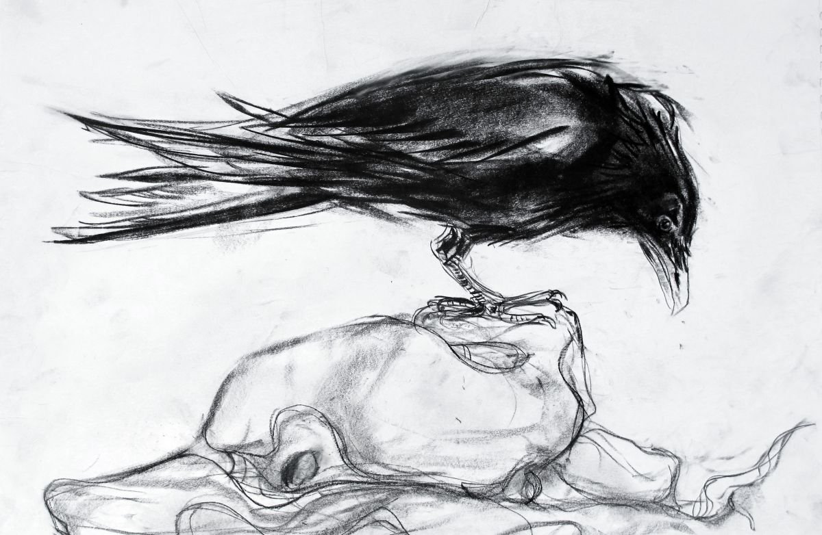 Crow in Crummack Dale by John Sharp