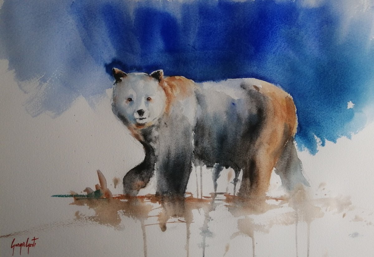 Impressionistic Watercolour , Bear 2 By Giorgio Gosti, 21 X 14, Artwork For Sale On Artfinder