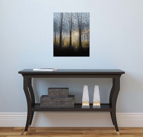 Forest Trees At Last Light