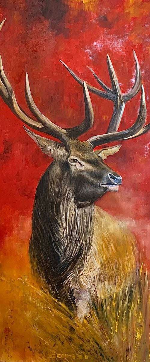 Vedo rosso by Gianfranco Combi