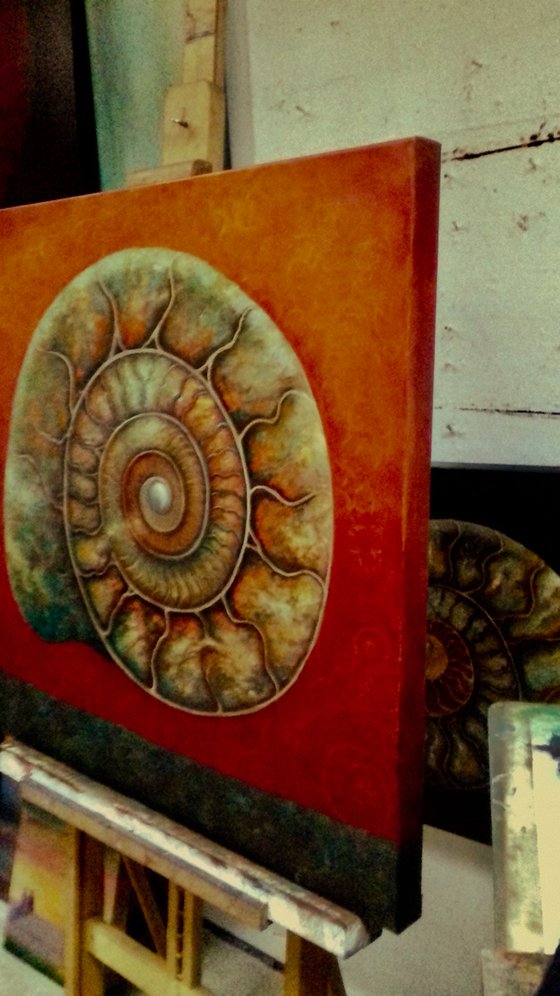 Green and Red Ammonite