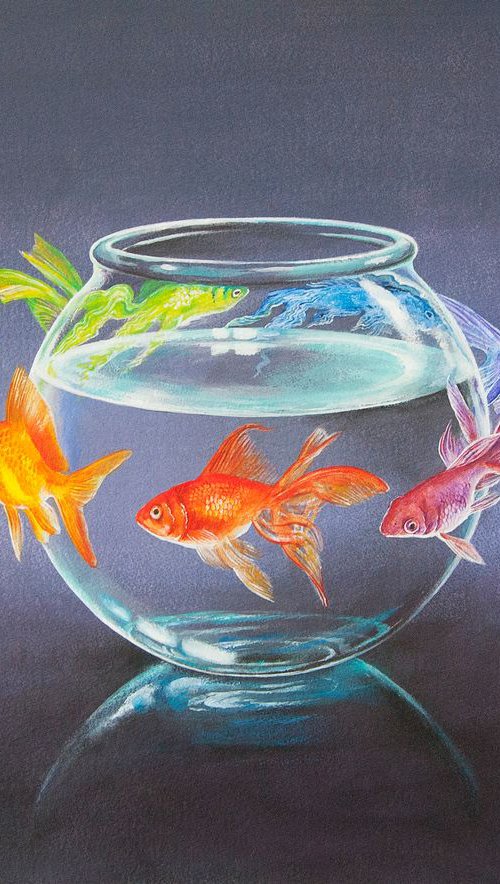 Goldfish VI by Daniel Loveday