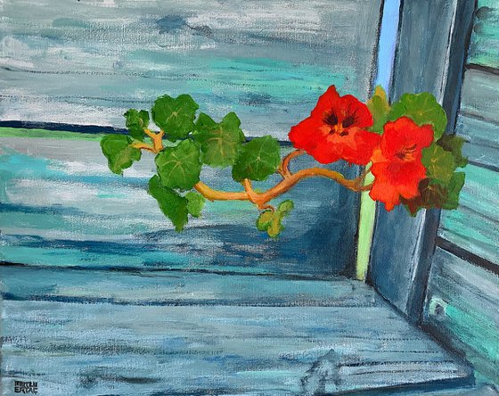 Nasturtium