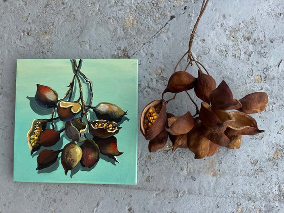 Seeds of Hidden Stories