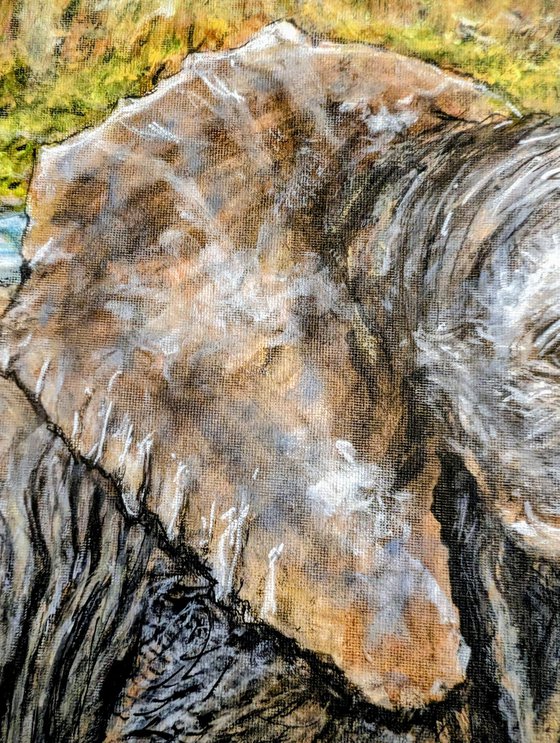 Baby Elephant, Elephant 4