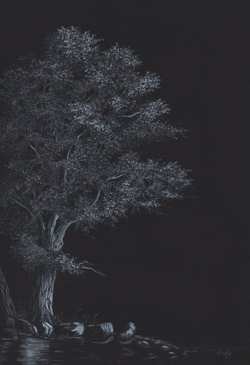 Oak Tree 4 by Shweta  Mahajan