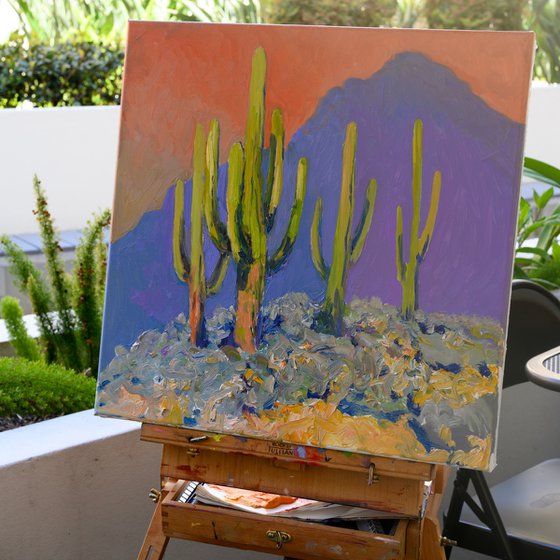 Evening and Saguaro Cactuses