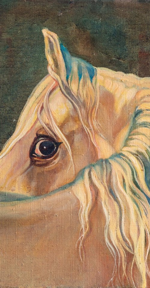 Gaze by Alona Lesnichenko