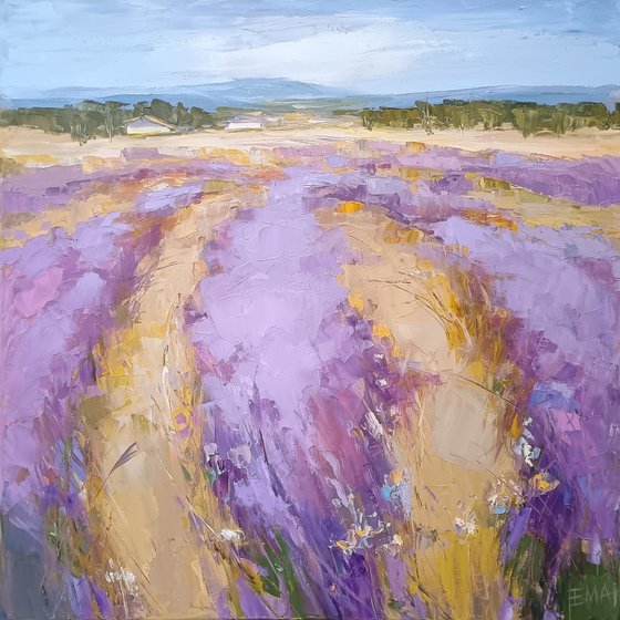 LAVENDER TIME