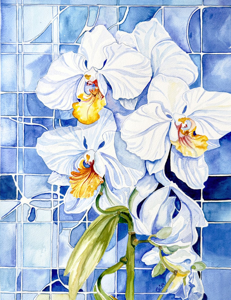 Photorealistic Watercolour , White Orchid By Irina Kurganskaya, 12 X 16, Artwork For Sale On Artfinder