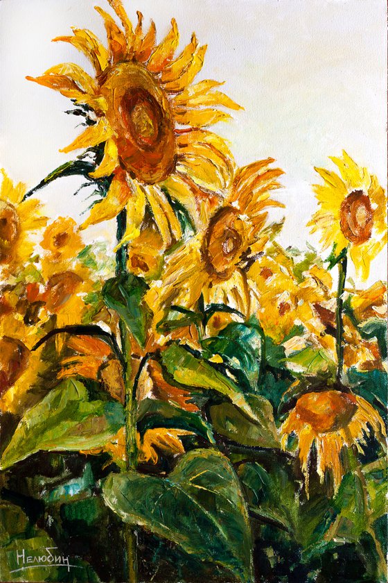 Sunflowers