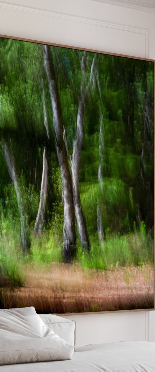 Deep in the Forest by Lynne Douglas