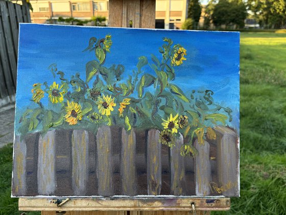 Sunflowers over de fence