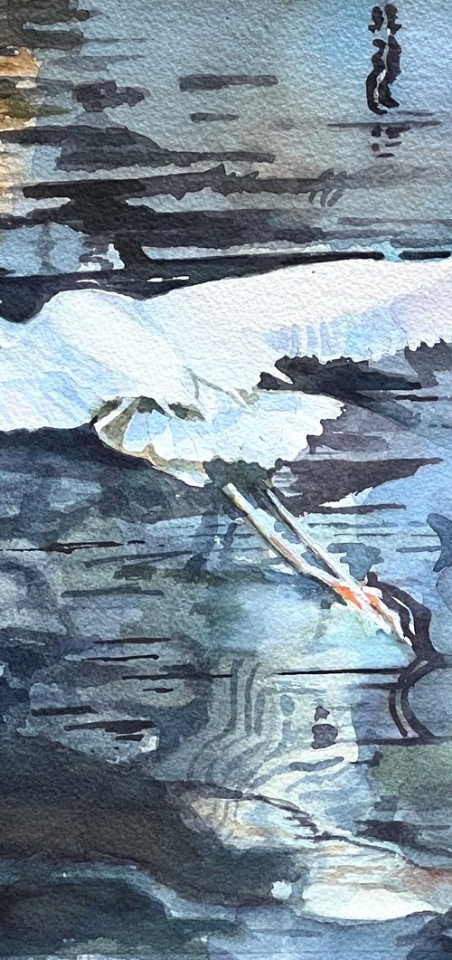 In Flight by Bronwen Jones