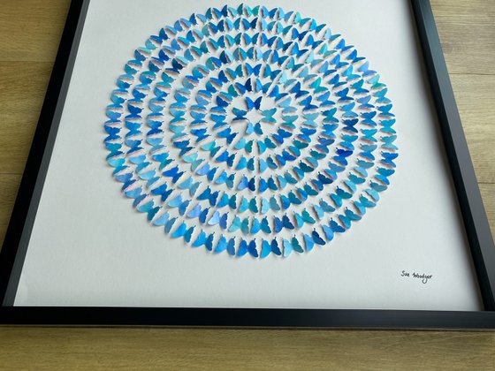 Butterflies - Blue Spiral