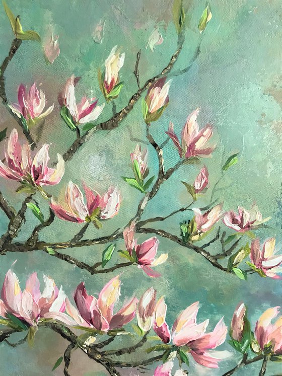 Magnolia in Spring