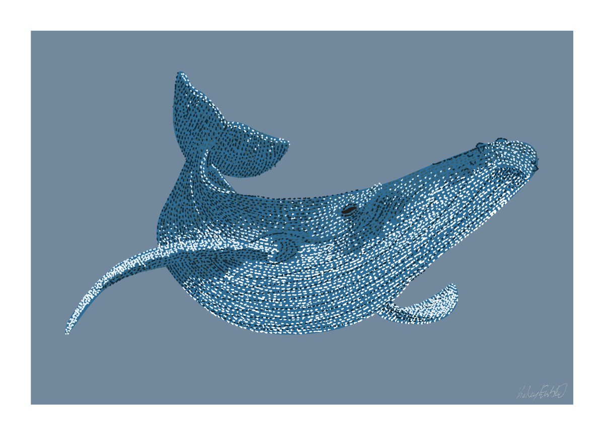 Humpback Whale - Stippling Illustration by Kelsey Emblow