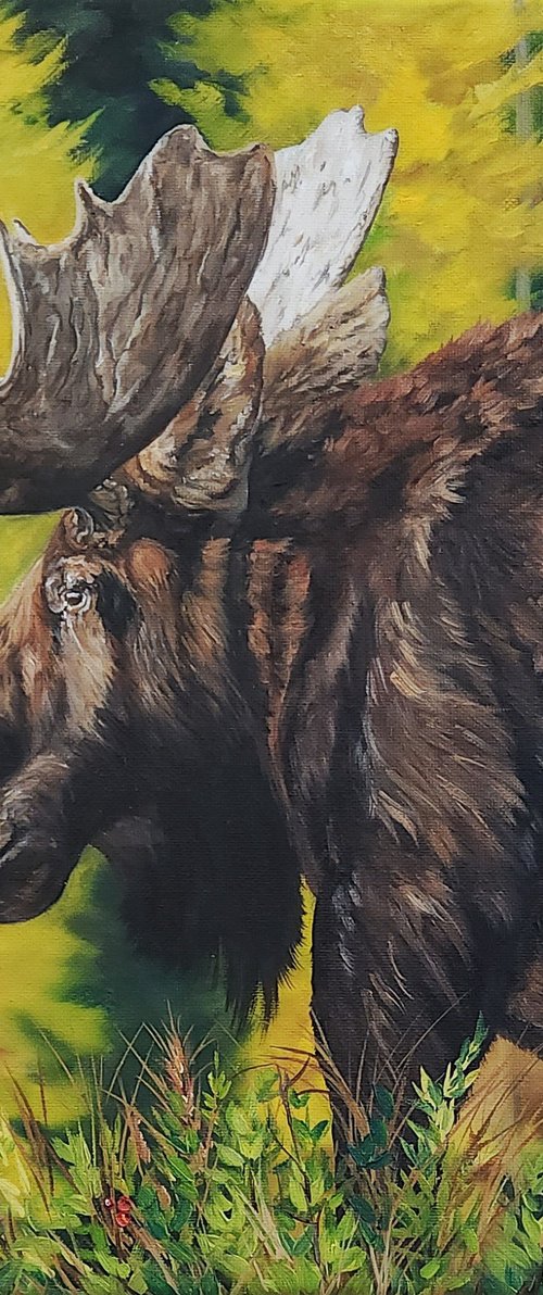 Evening Reflections by Katrina Case