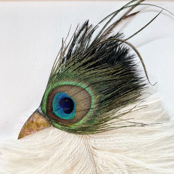 The young bird of paradise