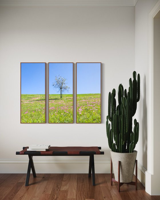 Garden View, Triptych