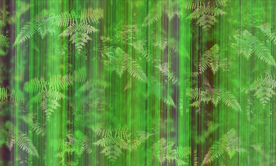 ABC#193 fresh forest #1