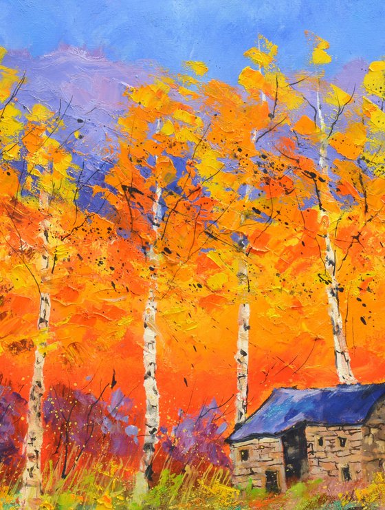 Aspentrees in autumn
