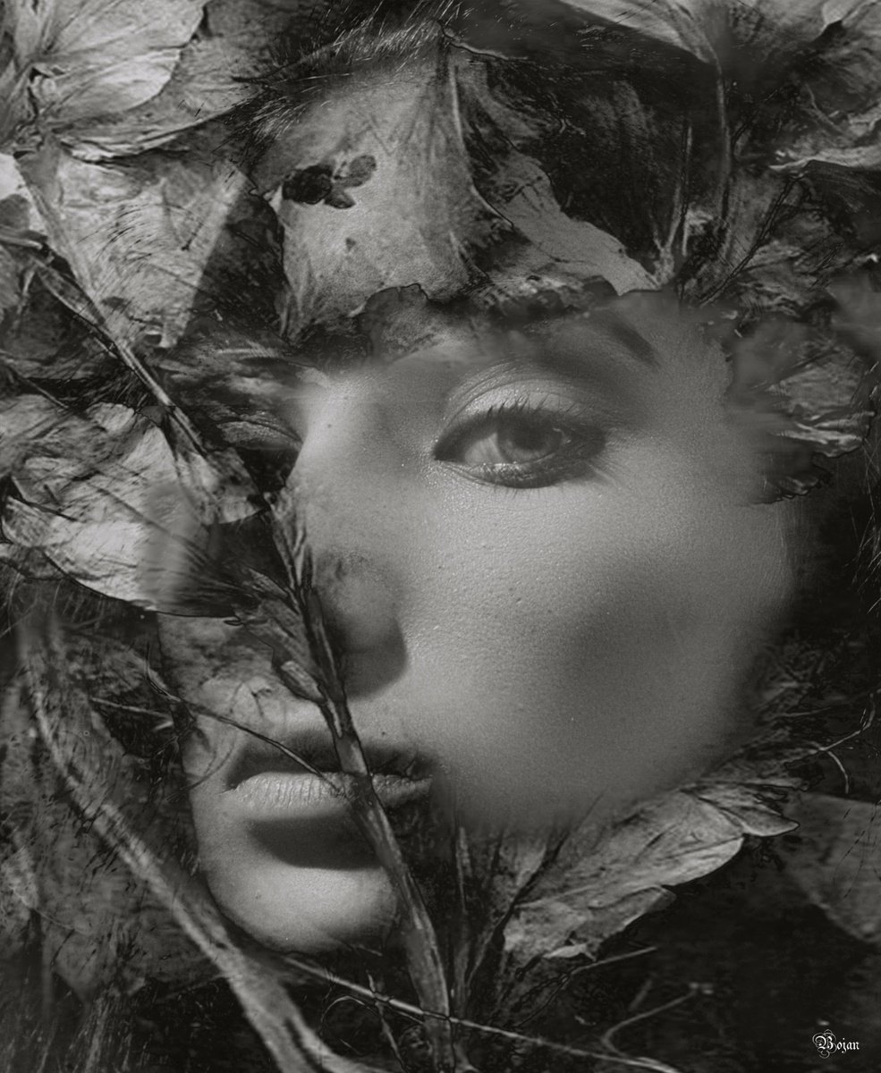 Illustrative Portrait Photograph By Bojan Jevtic, 35 X 43, I