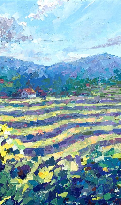 "The vineyards of Haloze" by OXYPOINT