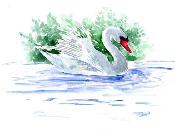 White Swan