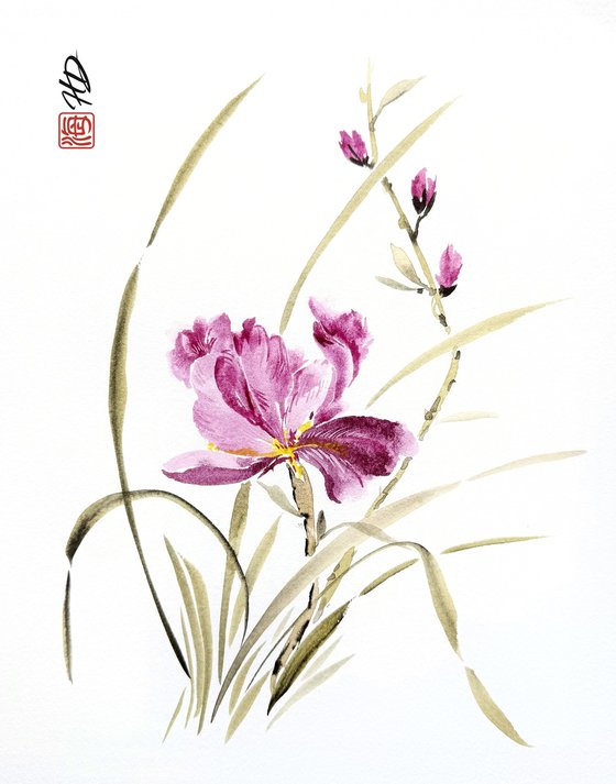 Whispers of the Iris