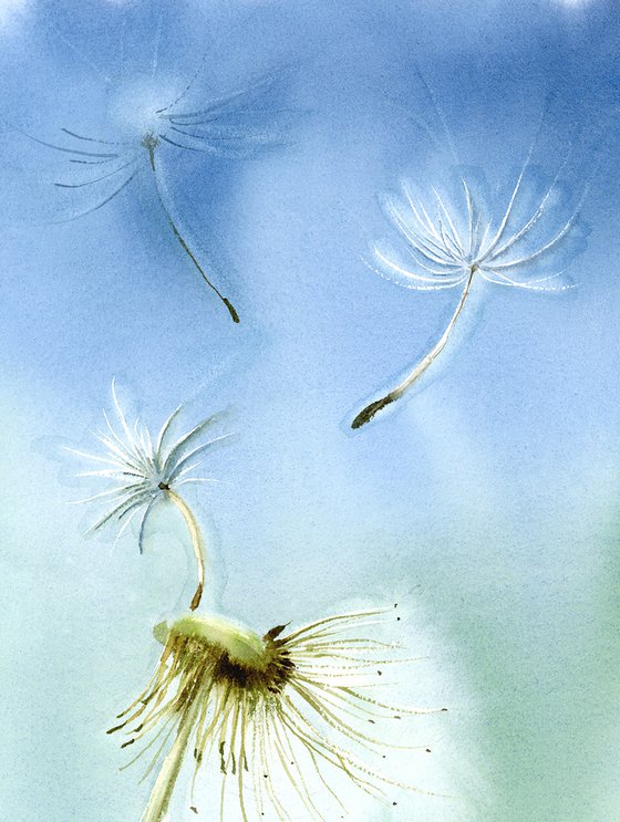 Dandelion  - Original Watercolor Painting