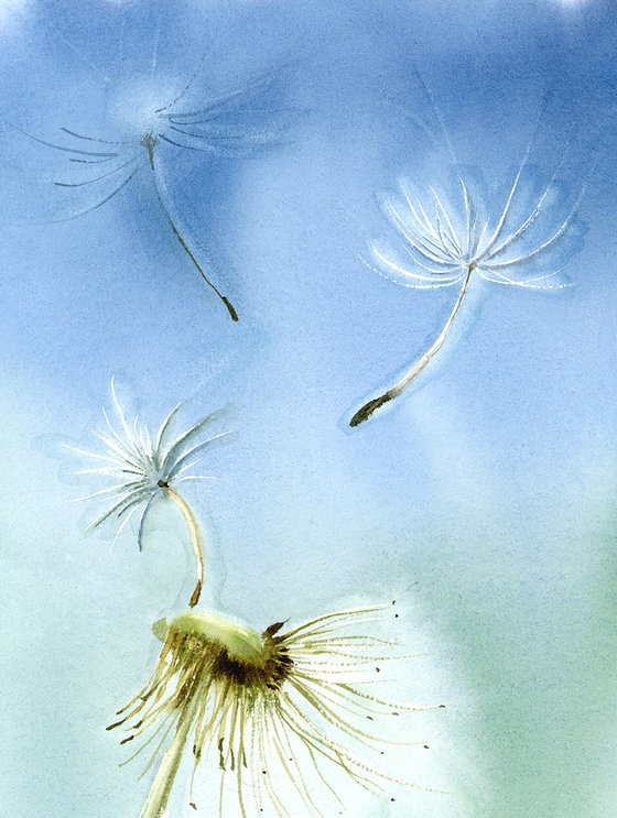 Dandelion