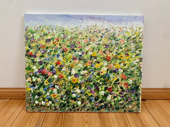 Colorful flowers in the field