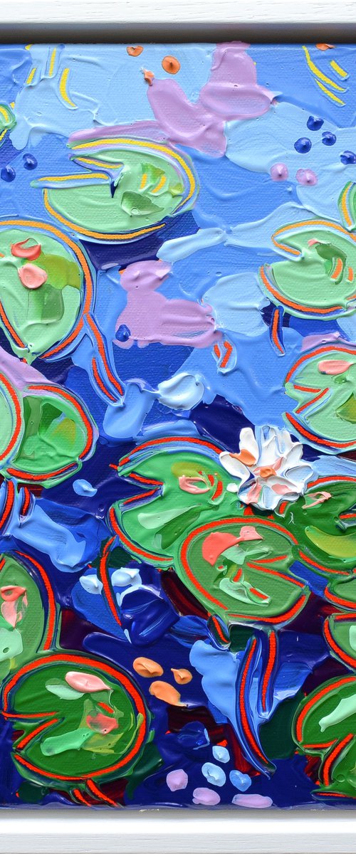 Tasman Lily Pond 35 by Joseph Villanueva
