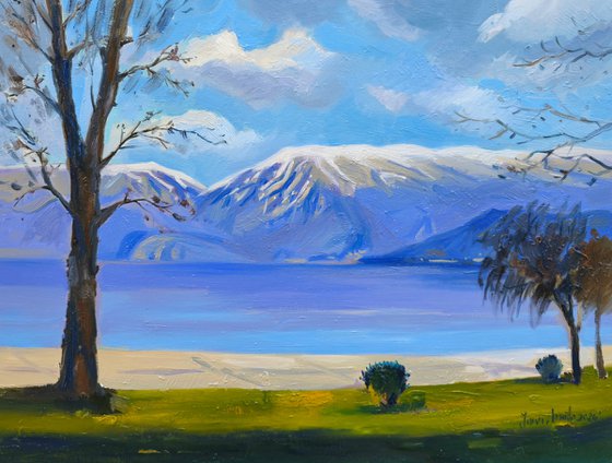 Winter day by the lake