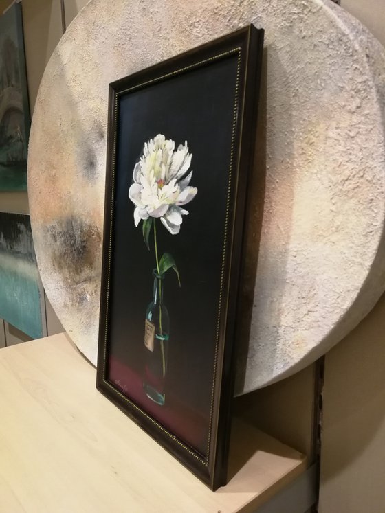 “Peony against a dark background”