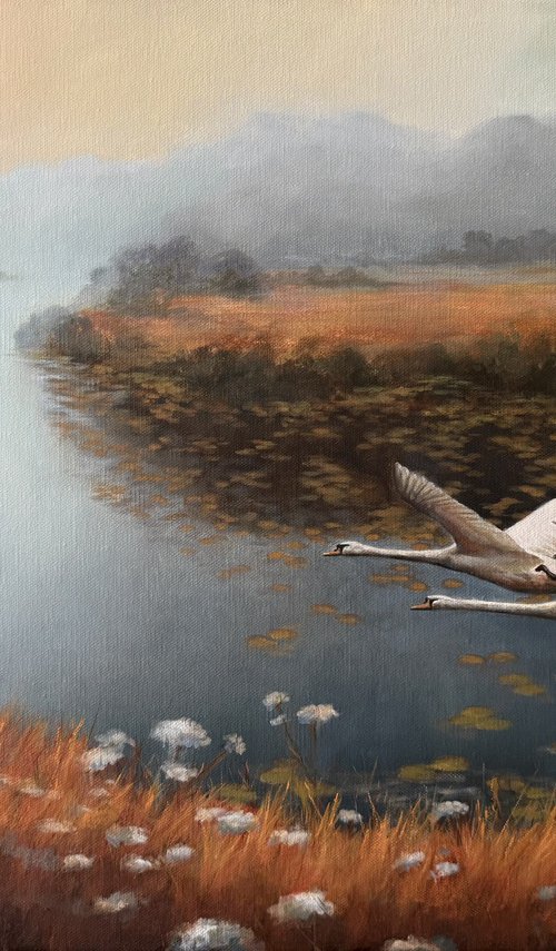 Swan lake by Alina Marsovna