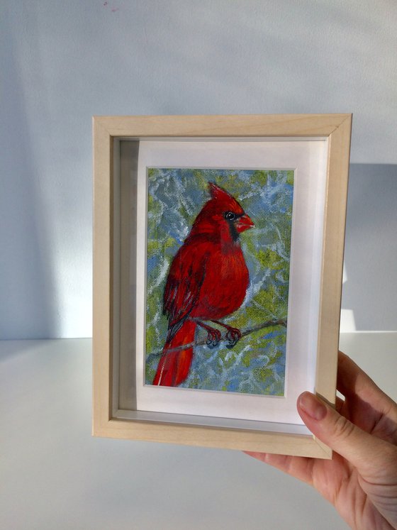 Bird oil painting - Red cardinal small canvas - Christmas gift for bird lover.