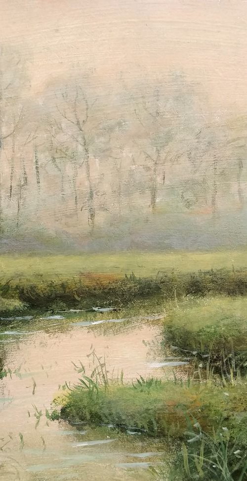 Meadows7 by Vishalandra Dakur