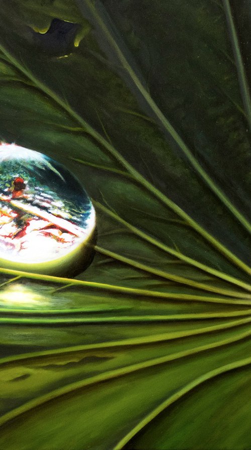 "Waterlily Leaf with Dew" by Juan Bernal