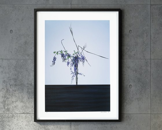 Water Scenery #001-Wisteria flowers, Bamboo-