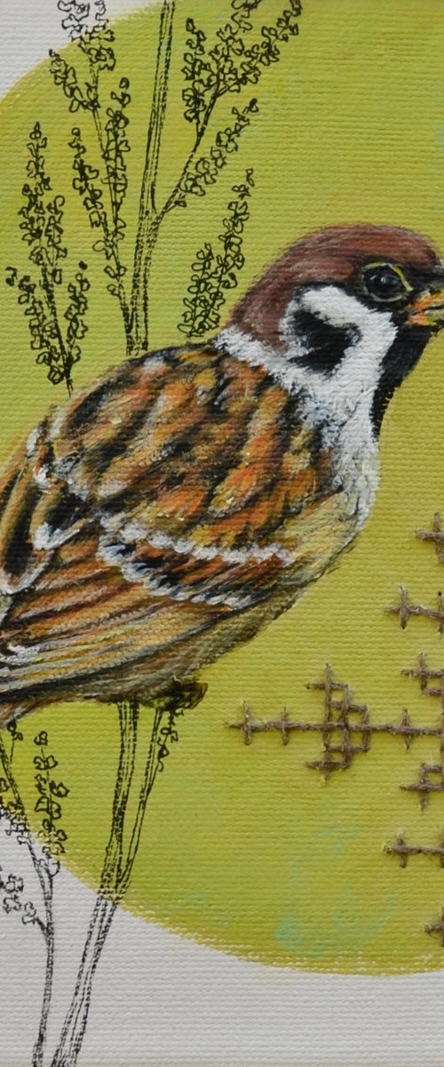 COURTYARD MEMORIES I: SPARROW by Yuliia Naumenko