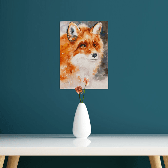 Red Fox Stella